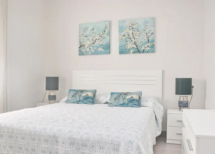 Celeste كونيل ذي لا فرونتيرا